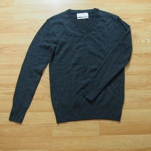 NWOT Everlane The Men's Cashmere V-Neck